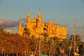 La Seu Cathedral, Palma de Mallorca, Mallorca (Majorca), Balearic Islands, Spain, Europe