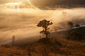 Sonnenaufgang auf einer Farm nahe Buchan entlang des Barry Way, Buchan, Victoria, Australien