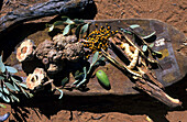 Aboriginal Bushfood inklusive Witchety Maden, Uluru National Park, Northern Territory, Australien