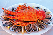 Seafood with crayfish and oyster