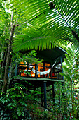 The villas of the lodge are surrounded by rainforest