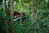 Das Restaurant über dem Mossman River gleicht einem Baumhaus, Silky Oaks Lodge, Queensland, Australien