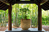 Der Eingang zum Qualia Resort erinnert an einen japanischen Tempel, Hamilton Island, Queensland, Australien