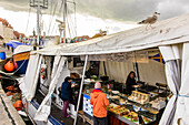 Fischverkauf vom Kutter, Wismar, Ostseeküste, Mecklenburg-Vorpommern, Deutschland