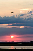 Sonnenuntergang am Leuchtturm Hellen und Landschaft, Hiddensee, Rügen, Ostseeküste, Mecklenburg-Vorpommern, Deutschland