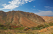 View from the viewpoint Las Penitas at valley with palm trees and finca, Fuerteventura, Canary Islands, Islas Canarias, Atlantic Ocean, Spain, Europe