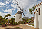 Mühle im Freilichtmuseum Museo del Queso Majorero und Molino de Antigua, Antigua, Fuerteventura, Kanaren, Kanarische Inseln, Islas Canarias, Atlantik, Spanien, Europa