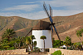 Mill in the museum Museo del Queso Majorero and Molino de Antigua at Antigua, Fuerteventura, Canary Islands, Islas Canarias, Atlantic Ocean, Spain, Europe