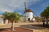 Mühle im Museo del Queso Majorero und Molino de Antigua, Antigua, Fuerteventura, Kanaren, Kanarische Inseln, Islas Canarias, Atlantik, Spanien, Europa