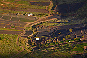 Blick vom Mirador de Haria auf Felder an der LZ 207 Richtung Arrieta, Lanzarote, Kanaren, Kanarische Inseln, Islas Canarias, Spanien, Europa