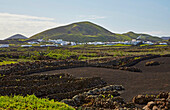 View from Mancha Blanca at Tiguatón, Lanzarote, Canary Islands, Islas Canarias, Spain, Europe