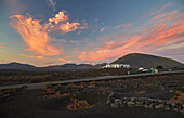 Sonnenuntergang im Weinbaugebiet La Geria am Fuß der Feuerberge, Lanzarote, Kanaren, Kanarische Inseln, Islas Canarias, Spanien, Europa