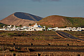 Caldera Blanca and Mancha Blanca in the morning, Lanzarote, Canary Islands, Islas Canarias, Spain, Europe