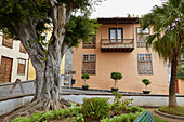 Typical houses at Icod de los Vinos, Tenerife, Canary Islands, Islas Canarias, Atlantic Ocean, Spain, Europe