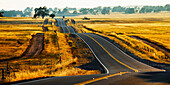 A country road in the Central Valley, California.