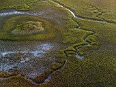 Aerial view of hummock, Dewees Island, South Carolina, USA