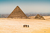 Pyramids of Giza with camels and desert in foreground,  Cairo, Egypt