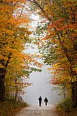 Two women walking on dirt road between trees in autumn, Plymouth, Vermont, USA