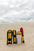 Sand boards in Joaquina dunes, Florianopolis, Santa Catarina, Brazil