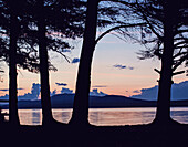 Silhouettes of trees on shore of Flagstaff Lake at sunset, Maine, USA