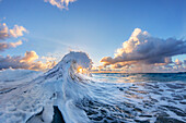 Wave in Pacific Ocean at sunrise, Oahu, Hawaii Islands, USA
