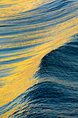 Close up of wave at sunset, Newport beach, Orange County, California, USA
