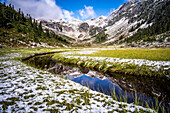 A small creek flows through Brandywine Meadows. This is a popular area for snowmobiling in the winter, but in the summer is beautiful alpine meadow. Whistler, British Columbia, Canada