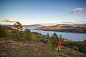 Male hiker standing on grassy hill and looking at river, Lyle, Oregon, USA