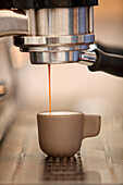 Espresso coffee pouring from coffee maker, Oakland, California, USA