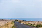 A man skateboards down the road towards Ka Lae, also known as South Point, the southernmost point of the Big Island of Hawaii