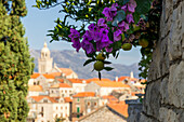 View to the old town of Korcula, Croatia, Europe