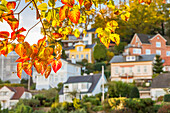 Small mansions at the so-called Treppenviertel of the Blankenese district in autumn, Hamburg, Germany, Europe