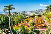 Formal garden in Madeira Botanical gardens (Jardim Botanico), above the capital city of Funchal, Madeira, Portugal, Atlantic, Europe