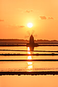 Windmill at sunset, Saline dello Stagnone, Marsala, province of Trapani, Sicily, Italy, Mediterranean, Europe