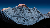 The first rays of light on the summit of Annapurna South, Himalayas, Nepal, Asia