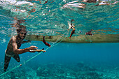 Local fishermen pulling in net with caught fish, Half Island, Cenderawasih Bay, West Papua, Indonesia