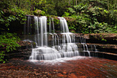 Waterfall in bamboo forest, Shunan Zhuhai National Park, Sichuan, China