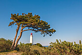 Leuchtturm, Dornbusch, Insel Hiddensee, Mecklenburg-Vorpommern, Deutschland