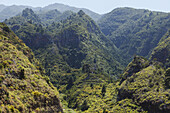 Lomo de Tabacal, Barranco de San Juan, gorge, near San Juan, east slope of Caldera de Taburiente, Parque Natural de las Nieves, UNESCO Biosphere Reserve, La Palma, Canary Islands, Spain, Europe
