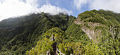 Mirador Espigon Atravesado, view point at the eastern slope of the Caldera de Taburiente, Los Tilos, Parque Natural de las Nieves, UNESCO Biosphere Reserve, La Palma, Canary Islands, Spain, Europe
