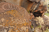 petroglyphs, Barranquillo del Calvario, indigenous art, near Santo Domingo de Garafia, UNESCO Biosphere Reserve, La Palma, Canary Islands, Spain, Europe