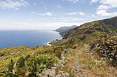 Nordküste, Atlantik, beim Mirador de los Topos, Aussichtspunkt bei El Tablado, UNESCO Biosphärenreservat, La Palma, Kanarische Inseln, Spanien, Europa