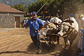 Arrastre de Ganado, competition in hauling loads, livestock fair in San Antonio del Monte, Garafia region, UNESCO Biosphere Reserve, La Palma, Canary Islands, Spain, Europe