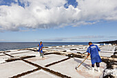 skimming off sea salt, Flor de Sal, worker, Salinas Marinas de Fuencaliente, saline, saltworks, Fuencaliente, UNESCO Biosphere Reserve, La Palma, Canary Islands, Spain, Europe