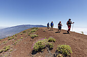 Wandern, Gruppe, Besteigung des Berges Birigoyo, 1807m, Parque Natural de Cumbre Vieja, UNESCO Biosphärenreservat,  La Palma, Kanarische Inseln, Spanien, Europa