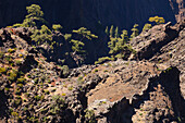 view into the crater, Mirador de los Andenes, viewpoint, crater rim, Caldera de Taburiente, UNESCO Biosphere Reserve, La Palma, Canary Islands, Spain, Europe