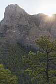 Blick zum Punta de los Roques, Berg,  2085m, Wanderung zum Pico Bejenado, Berg, Kraterrand der Caldera de Taburiente, Parque Nacional de la Caldera de Taburiente, Nationalpark, UNESCO Biosphärenreservat,  La Palma, Kanarische Inseln, Spanien, Europa