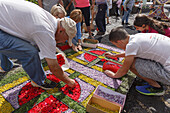 carpet of flowers for the procession, Corpus Christi, Feast of Corpus Christi, Villa de Mazo, UNESCO Biosphere Reserve, La Palma, Canary Islands, Spain, Europe