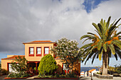 house with canarian palm tree, San Andres, village, San Andres y Sauces, UNESCO Biosphere Reserve, La Palma, Canary Islands, Spain, Europe