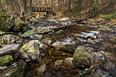 Fluss Radau, Brücke, Bad Harzburg, Landkreis Goslar, Nationalpark Harz, Niedersachsen, Deutschland, Europa